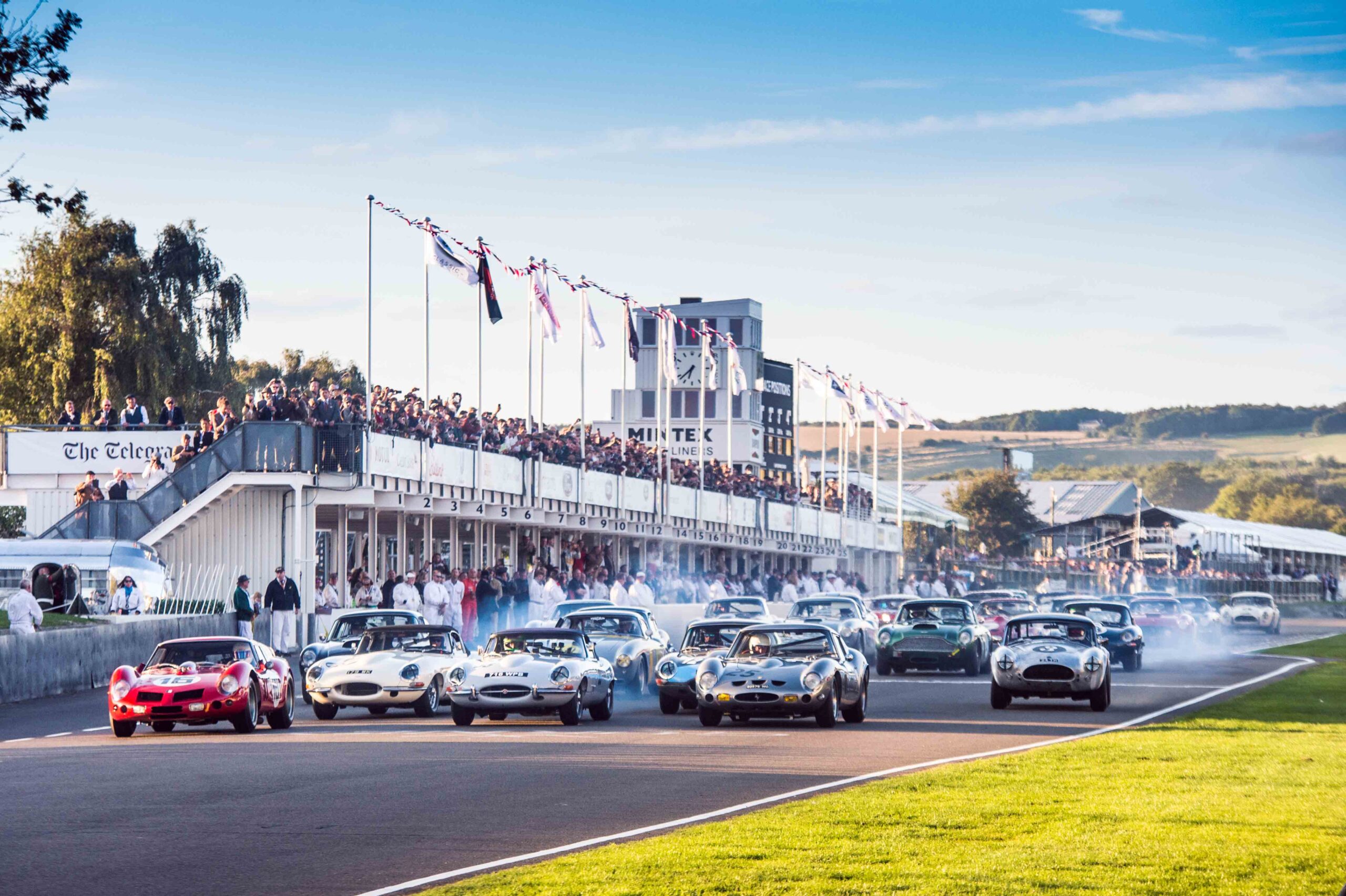 Goodwood Revival cars on the grid