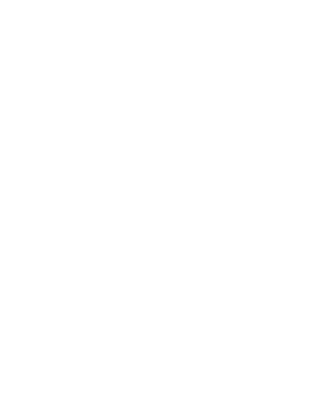 New Roads Logo